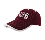 Baseball Caps - DC34