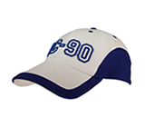 Baseball Caps - DC90